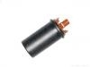 Bobina de encendido Ignition Coil:12 13 1 286 087